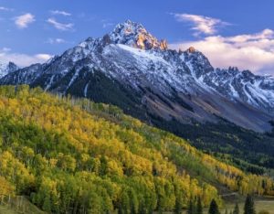 una montaña cubierta de nieve con árboles en primer plano