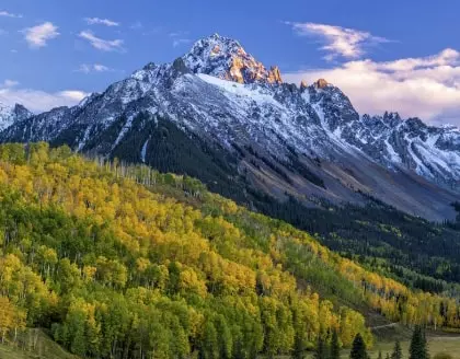 a mountain covered in snow with trees in the foreground